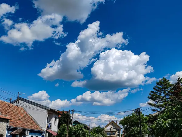 Resimli Mahalle Büyüsü. Konforlu bir şehir manzarasının hava görüntüsü