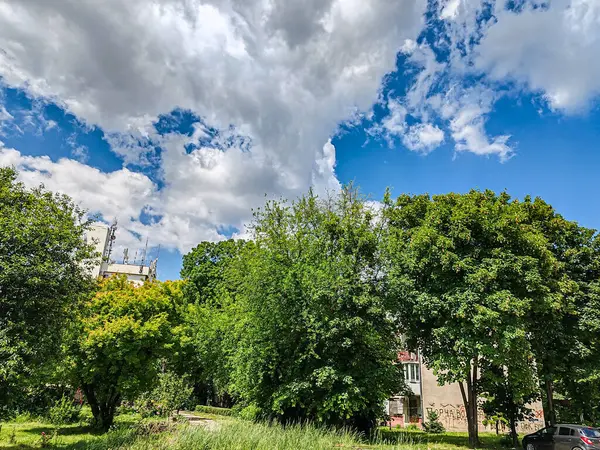 Şehir Binaları ve Çarpıcı Bulutlu Gökyüzü ile Dolu Yeşil Park