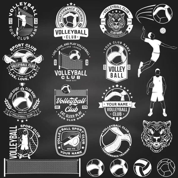 Conjunto Insignia Del Club Voleibol Diseño Del Logotipo Pizarra Vector — Vector de stock
