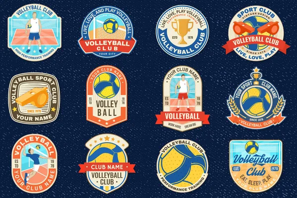 Conjunto Emblema Del Club Voleibol Parche Pegatina Ilustración Vectorial Para — Vector de stock