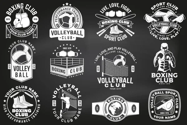 Conjunto Club Boxeo Club Voleibol Insignia Diseño Logotipo Pizarra Vector — Vector de stock