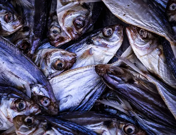 Pazarda balığa yakın bir yerde.