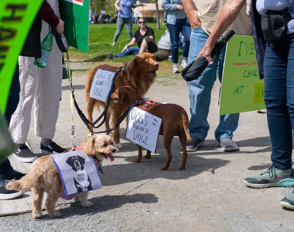 San Rafael California 'daki Marin Center' da Bölünmez Protesto 