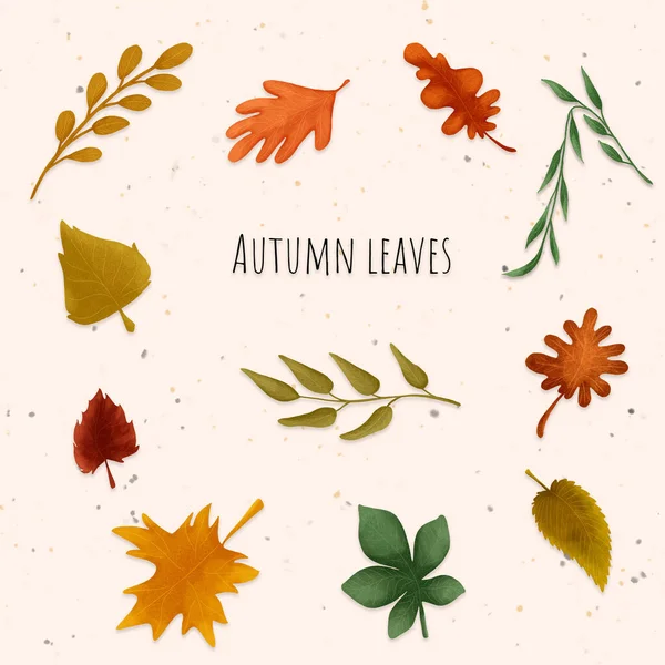 sonbahar yaprağı yeşil desen çizimi 