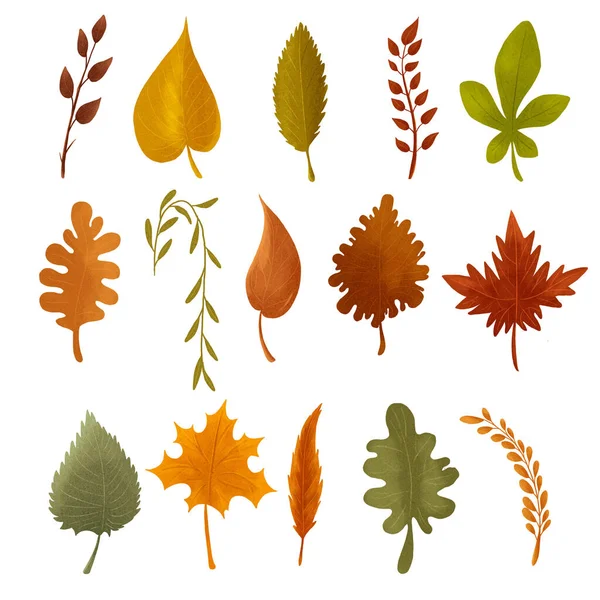 sonbahar yaprağı yeşil desen çizimi 