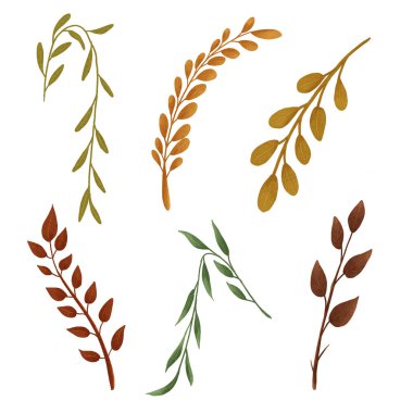 Sonbahar yaprağı illüstrasyonuName