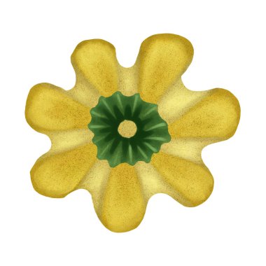 Şükran Günü Cadılar Bayramı Balkabağı Sonbahar Sebzesi kutlaması