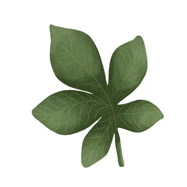 sonbahar yaprağı yeşil desen çizimi 