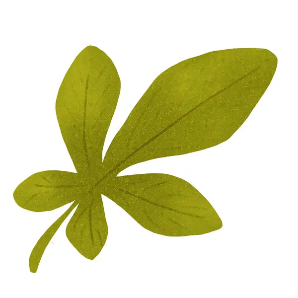 Sonbahar yaprağı illüstrasyonuName