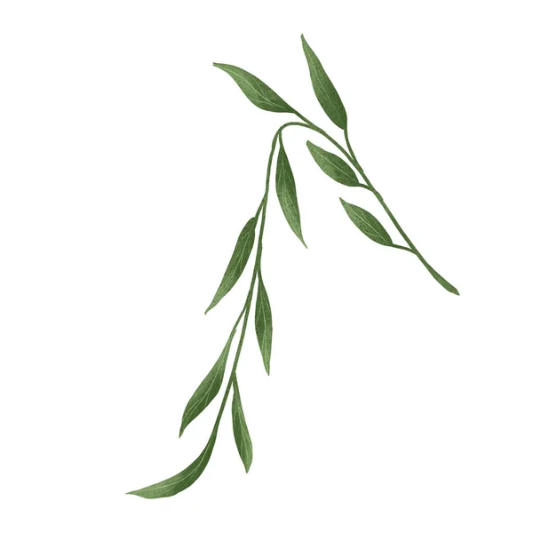 Sonbahar yaprağı illüstrasyonuName