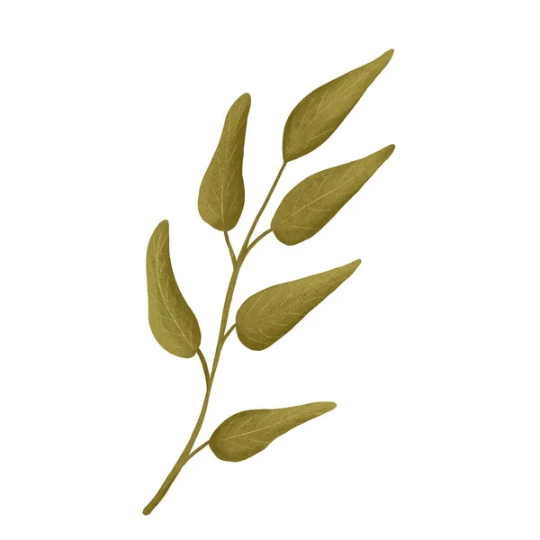 Sonbahar yaprağı illüstrasyonuName