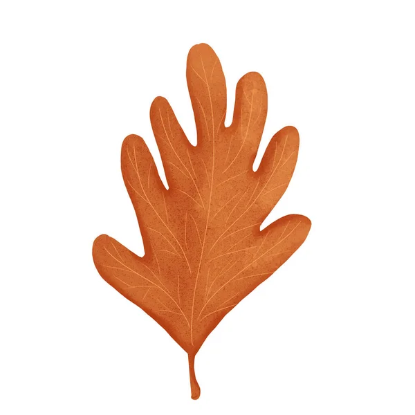 Sonbahar yaprağı illüstrasyonuName