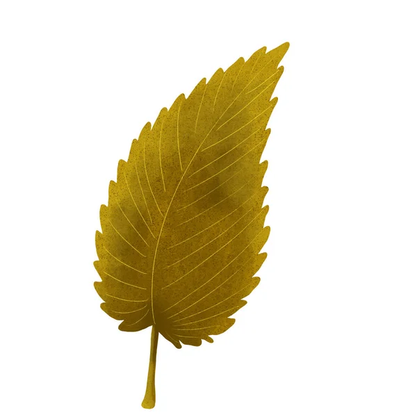 Sonbahar yaprağı illüstrasyonuName