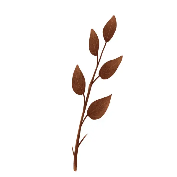 Sonbahar yaprağı illüstrasyonuName