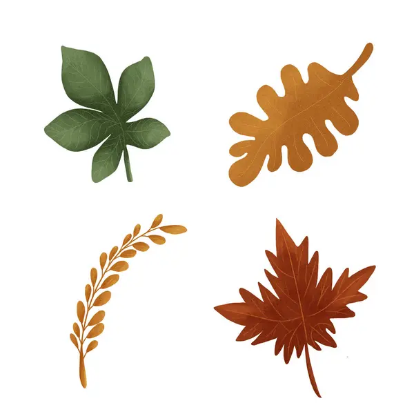 Sonbahar yaprağı illüstrasyonuName