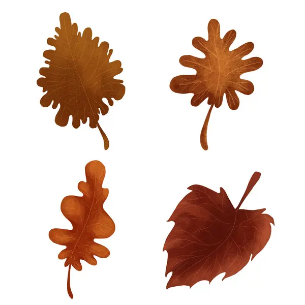 Sonbahar yaprağı illüstrasyonuName