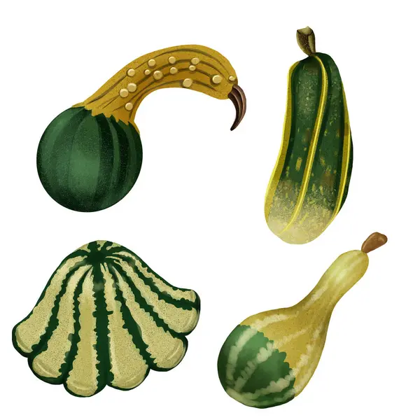 Şükran Günü Cadılar Bayramı Balkabağı Sonbahar Seti