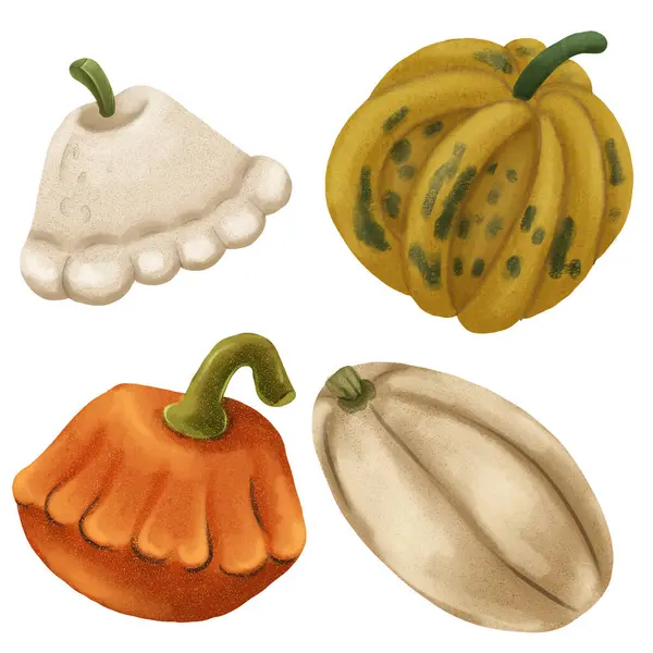 Şükran Günü Cadılar Bayramı Balkabağı Sonbahar Seti