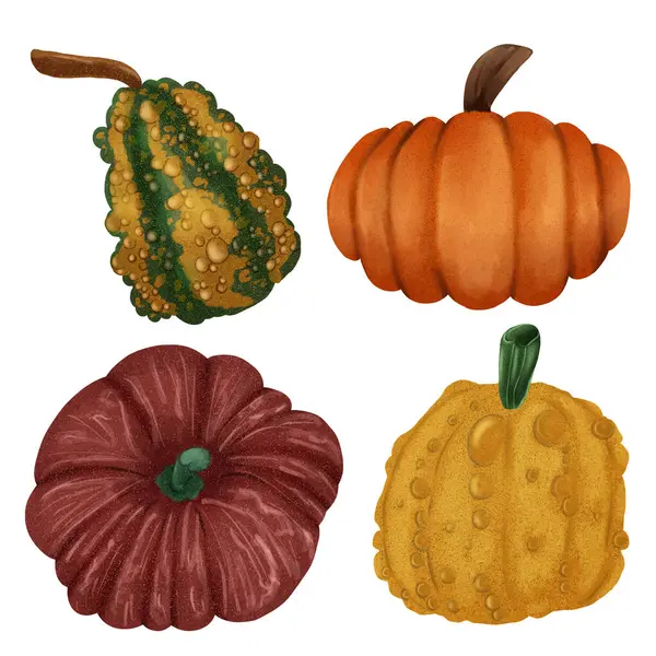 Şükran Günü Cadılar Bayramı Balkabağı Sonbahar Seti