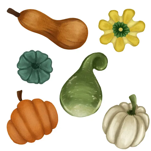 Şükran Günü Cadılar Bayramı Balkabağı Sonbahar Sebze Şablonu kutlaması