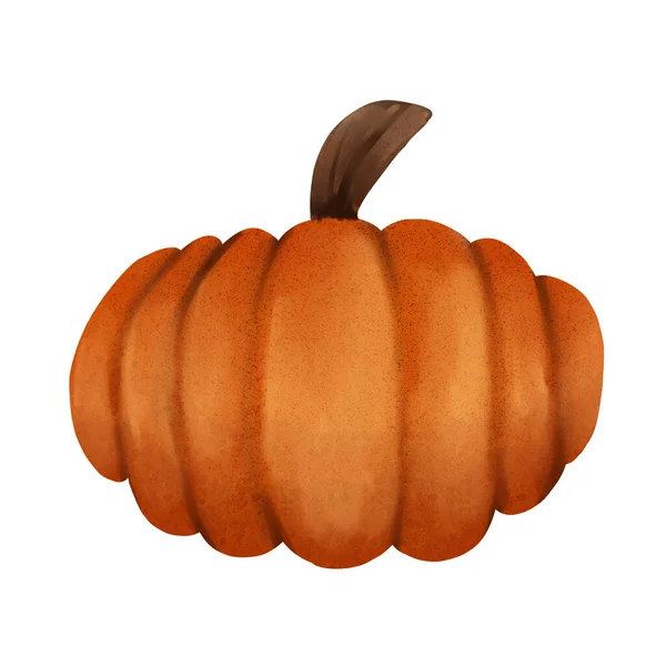 Şükran Günü Cadılar Bayramı Balkabağı Sonbahar Sebzesi kutlaması