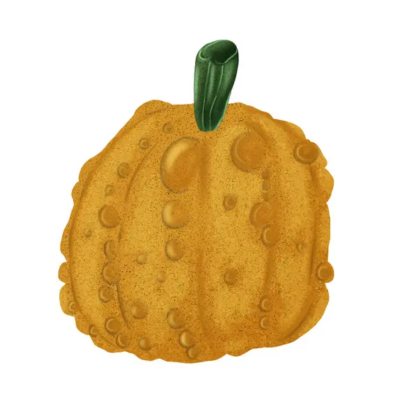 Şükran Günü Cadılar Bayramı Balkabağı Sonbahar Sebzesi kutlaması