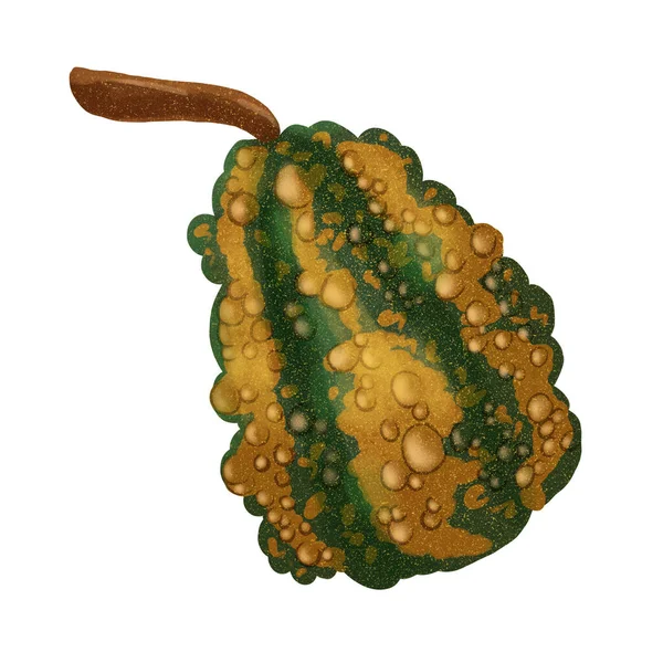 Şükran Günü Cadılar Bayramı Balkabağı Sonbahar Sebzesi kutlaması