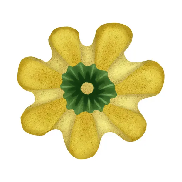 Şükran Günü Cadılar Bayramı Balkabağı Sonbahar Sebzesi kutlaması