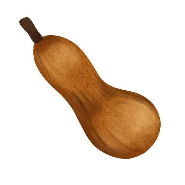 Şükran Günü Cadılar Bayramı Balkabağı Sonbahar Sebzesi kutlaması