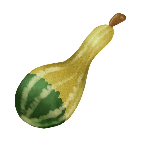 Şükran Günü Cadılar Bayramı Balkabağı Sonbahar Sebzesi kutlaması