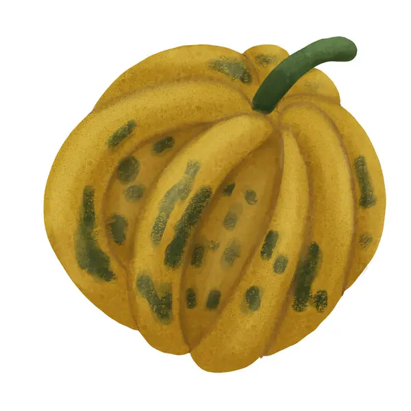 Şükran Günü Cadılar Bayramı Balkabağı Sonbahar Sebzesi kutlaması