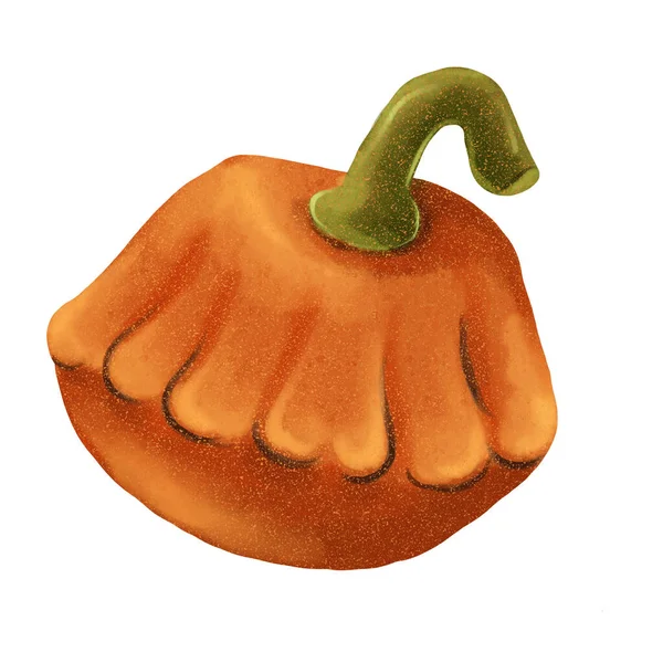 Şükran Günü Cadılar Bayramı Balkabağı Sonbahar Sebzesi kutlaması