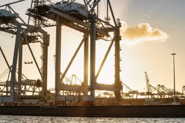 Rotterdam, Hollanda - 22 Kasım 2021: Limandaki gemilerin konteynırlarını boşaltmak için devasa yarıdan ve tamamen otomatik vinçlerden oluşan hatlar
