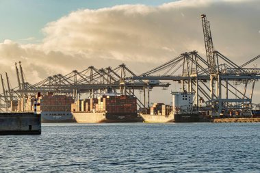 Rotterdam, Hollanda - 22 Kasım 2021: Kenetlenmiş gemi ve gemilerin konteynırlarını boşaltmak için devasa yarıdan ve tamamen otomatik vinçlerden oluşan hatlar