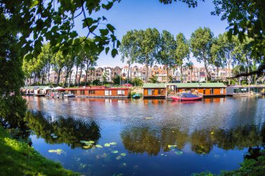 Lahey Den Haag, Hollanda - 30 Mayıs 2009: Lahey şehrinde ağaçlarla çevrili, renkli yüzen evler.