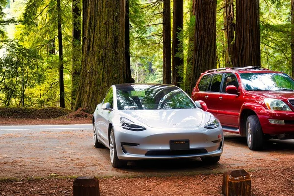 Garberville United States February 2020 Cars Parked Avenue Giants Redwoods — Stock Photo, Image