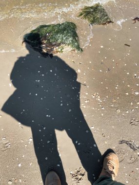 Yalnız siluet sahilde yürüyen adam