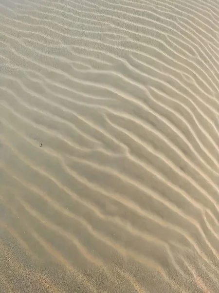 Hague Netherlands Апреля 2022 Песок Сухом Пляже Образовавшемся Ветром Показывающем — стоковое фото