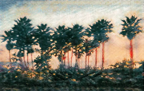 Silhouette Von Palmen Bei Sonnenuntergang Entlang Der Kalifornischen Pazifikküste — Stockfoto