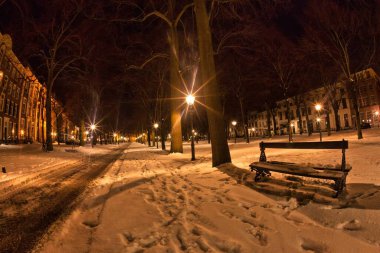Lahey, Hollanda - 20 Aralık 2009: sepia güzelliği vurguluyor. Lange Voorhout 'da bir bank.