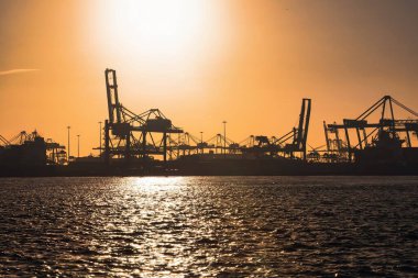 Rotterdam, Hollanda - 22 Kasım 2021: Sanayi limanında siluetli vinçlerle gün batımı
