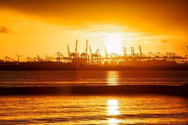 Rotterdam, Hollanda - 22 Kasım 2021: Limandaki gemilerin konteynırlarını boşaltmak için devasa yarıdan ve tamamen otomatik vinçlerden oluşan hatlar