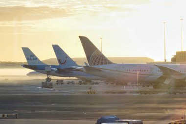 amsterdam, netherlands - 18 October 2022: united tui and klm airplanes docked at airport gates early in the morning with fog