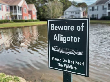 mount pleasant, united states - november 6 2022: a beware of alligators sign has been posted next to a pond in a suburb build in a swamp