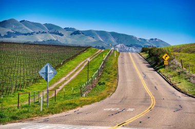 Pismo Plajı, Birleşik Devletler - 19 Şubat 2020: Kaliforniya 'daki bir yolculuğun parçası güzel şarap ülkesinde sürüş yapıyor.