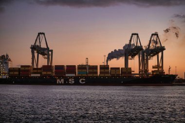 Rotterdam, Hollanda - 22 Kasım 2021: Güverte gemisindeki konteynırları boşaltmak için devasa yarıdan ve tamamen otomatik vinçlerden oluşan hatlar