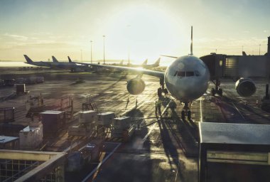 amsterdam, netherlands - 18 October 2022: airplanes are docked at gates on the platform of an airport early in the morning with sunset and fog