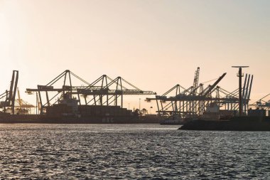 Rotterdam, Hollanda - 22 Kasım 2021: Limandaki gemilerin konteynırlarını boşaltmak için devasa yarıdan ve tamamen otomatik vinçlerden oluşan hatlar