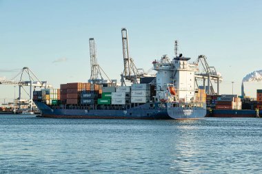 Rotterdam, Hollanda - 22 Kasım 2021: Güverte gemisindeki konteynırları boşaltmak için devasa yarıdan ve tamamen otomatik vinçlerden oluşan hatlar