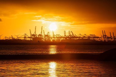 Rotterdam, Hollanda - 22 Kasım 2021: Limandaki gemilerin konteynırlarını boşaltmak için devasa yarıdan ve tamamen otomatik vinçlerden oluşan hatlar